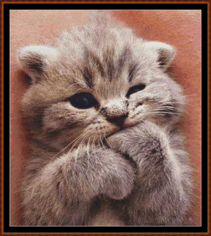 Sleepy Kitten 1 cat cross stitch pattern created under CC0 license