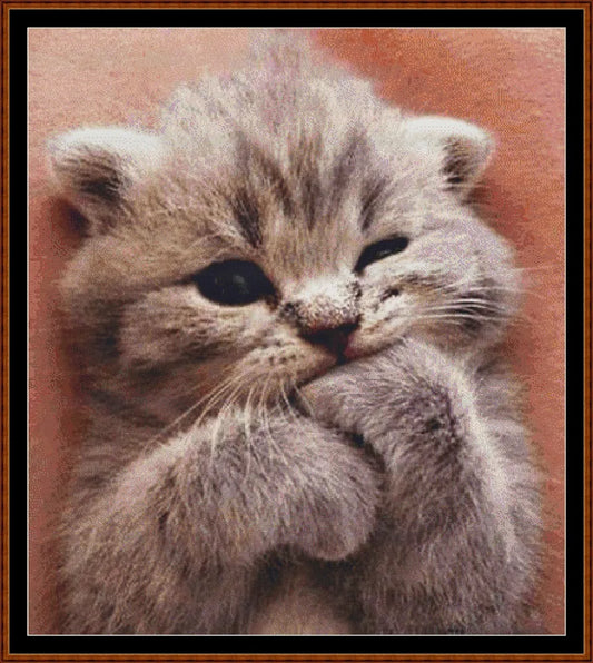 Sleepy Kitten 1 cat cross stitch pattern created under CC0 license