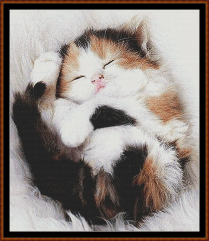 Sleepy Kitten 2  