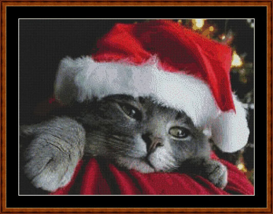Christmas Preparations  