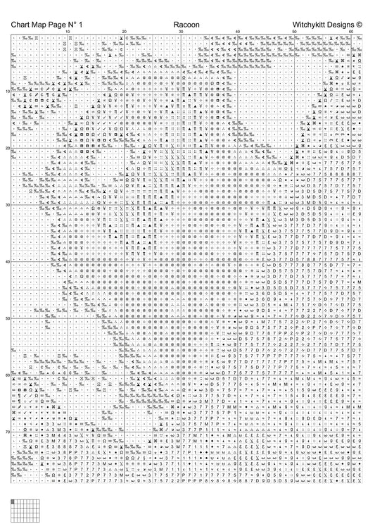 Raccoon  