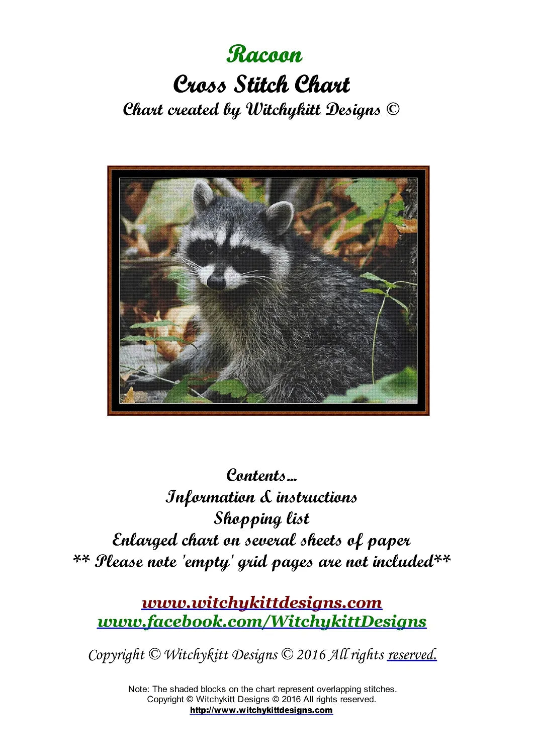 Raccoon  
