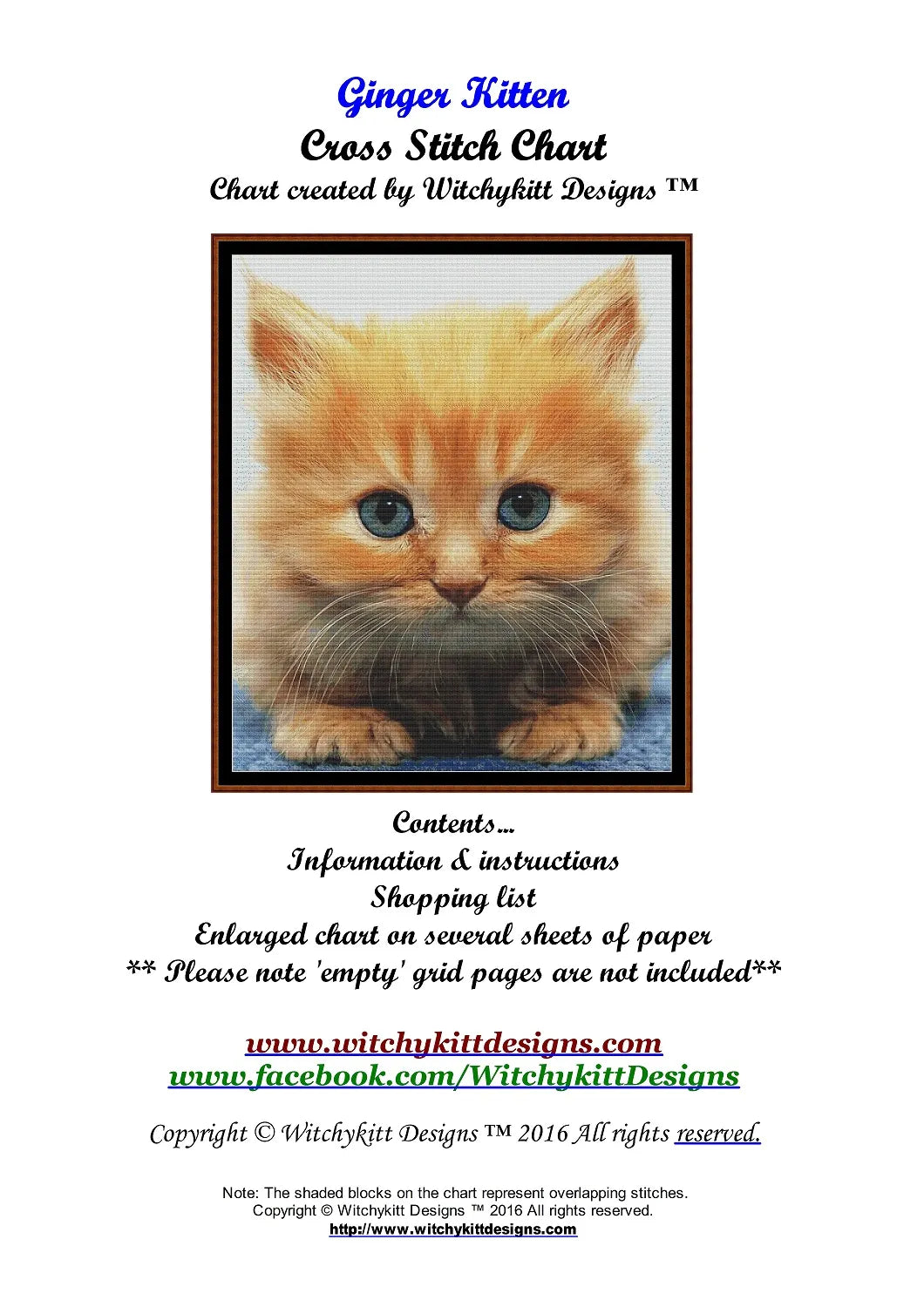 Ginger Kitten  