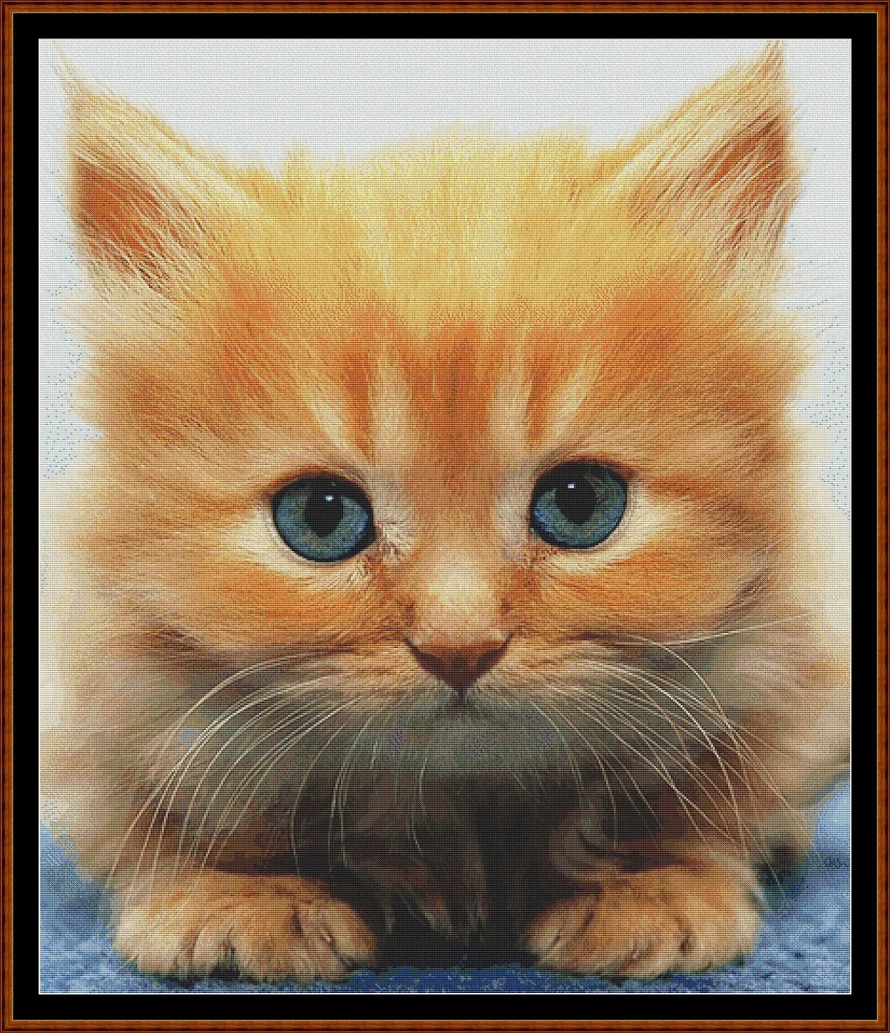 Ginger Kitten  