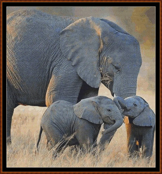 Elephant Love  