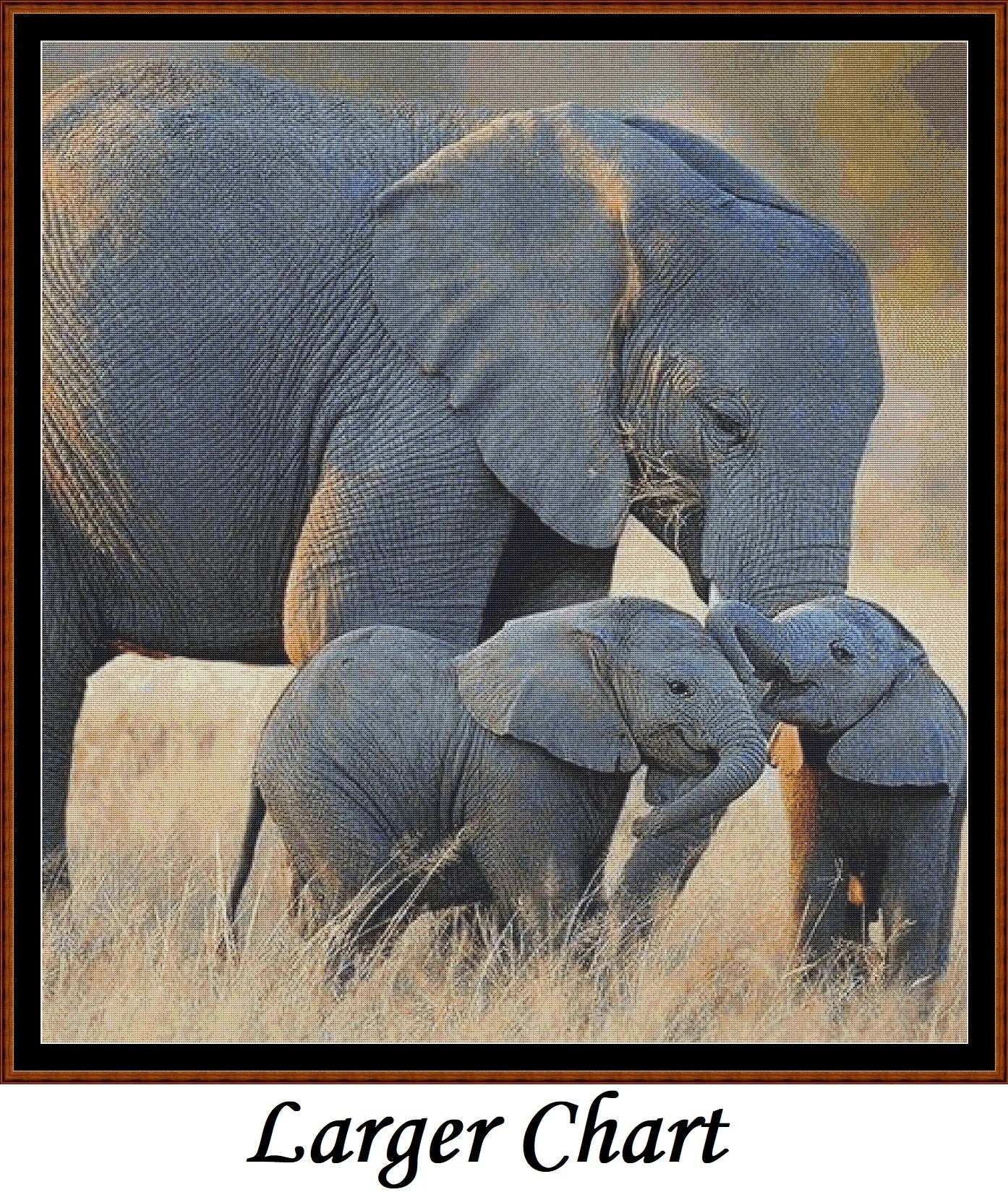 Elephant Love  