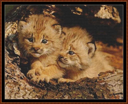 Brotherly Love  