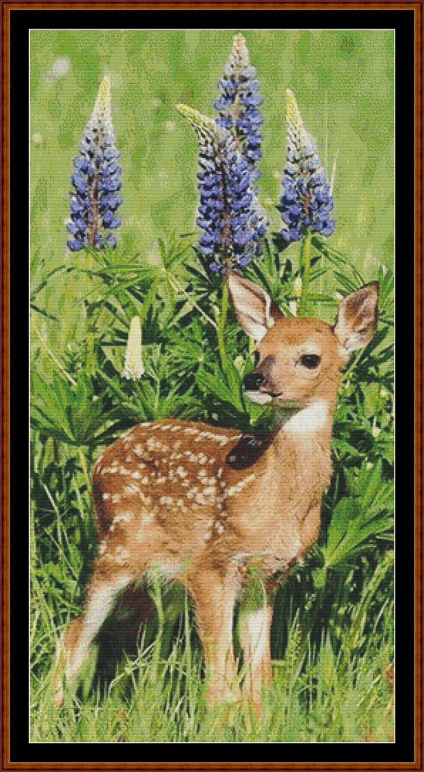 Baby Deer  