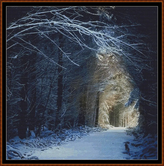 Snow Walk  