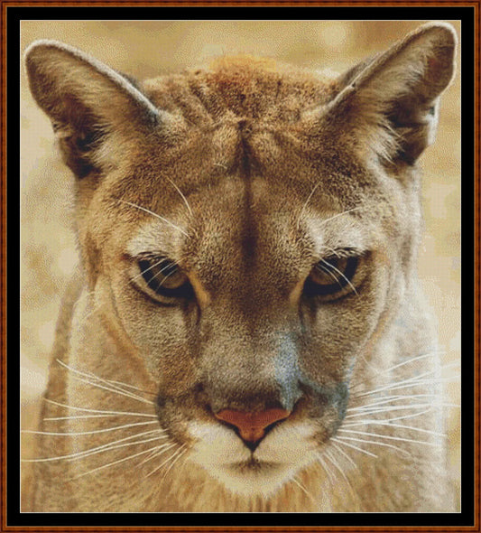 Expertly created by Witchykitt, The Stare patterns. The Stare is a lion pattern that comes as a full coverage pattern with no back-stitching. Additionally, The Stare  is available in 2 different design sizes - cross stitch small & regular And each sale includes the B&W chart
