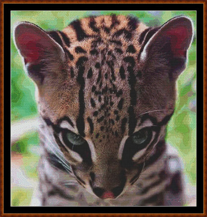 Look Of Innocence  