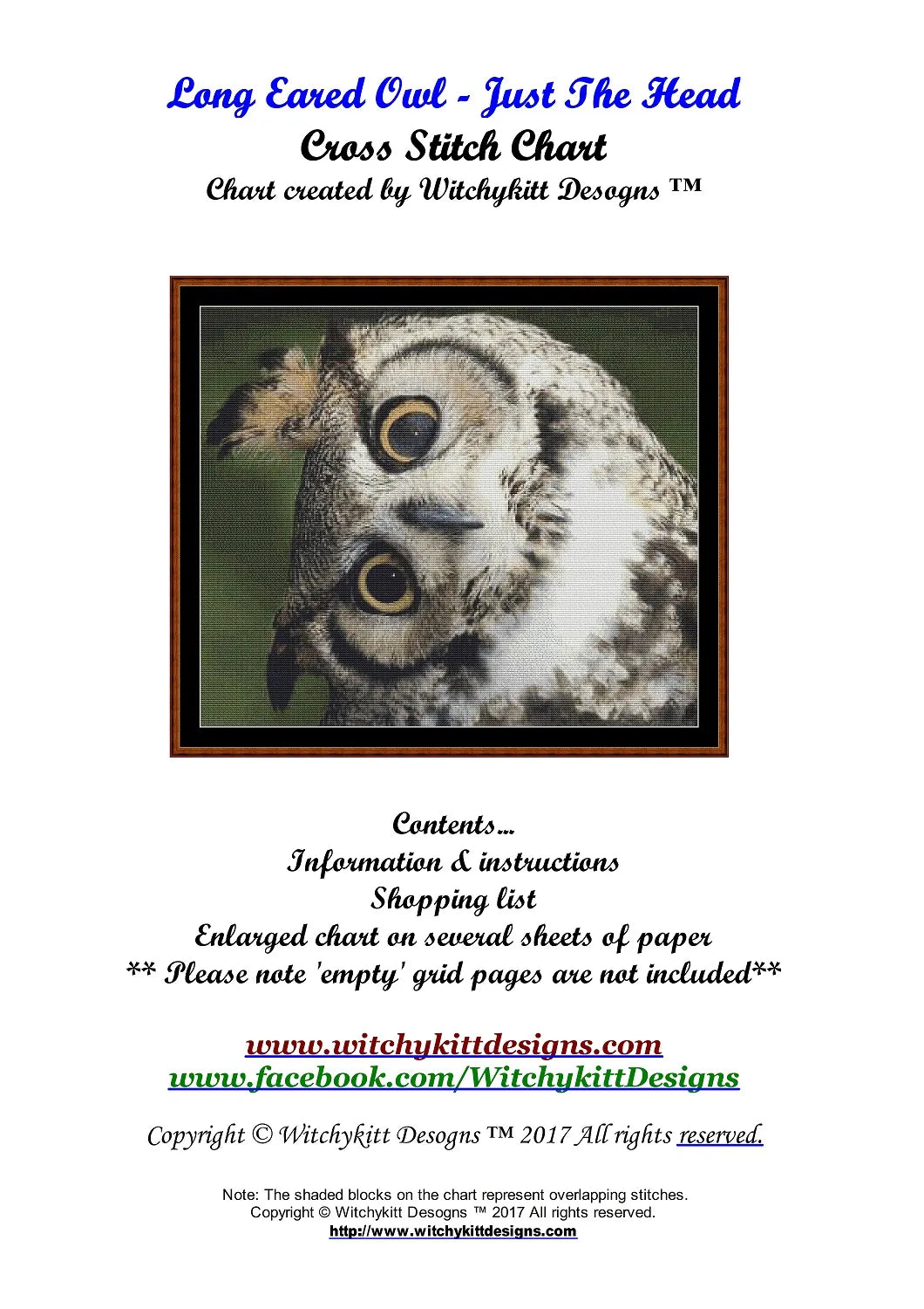 Long Eared Owl - Just The Head  