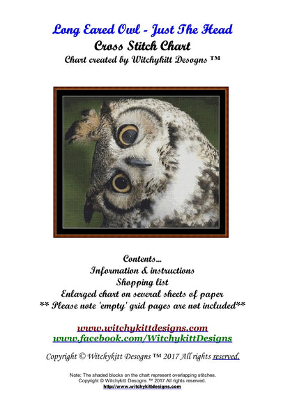 Long Eared Owl - Just The Head  