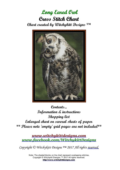 Long Eared Owl  