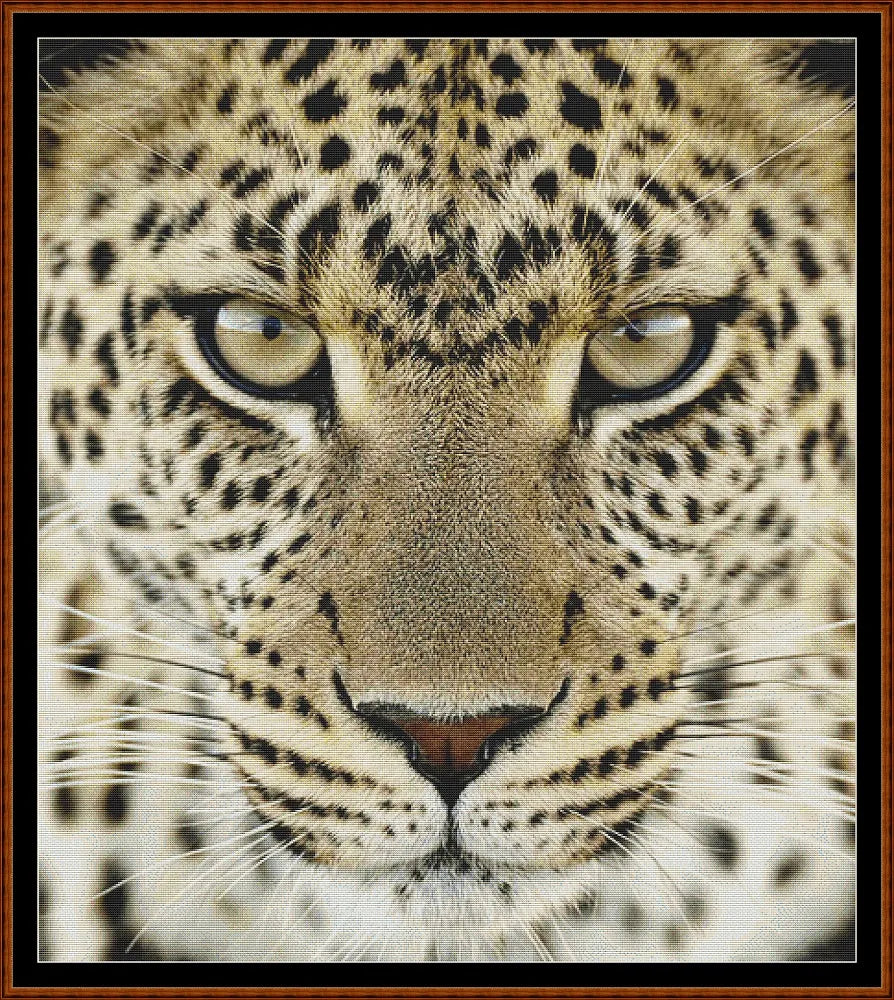 Leopard !  