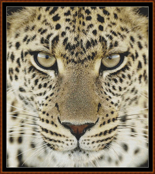 Leopard !  