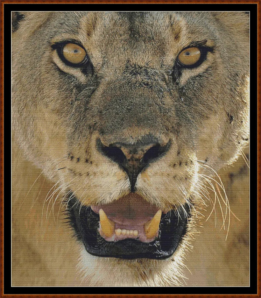 Lion !  