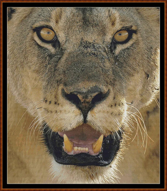 Lion !  