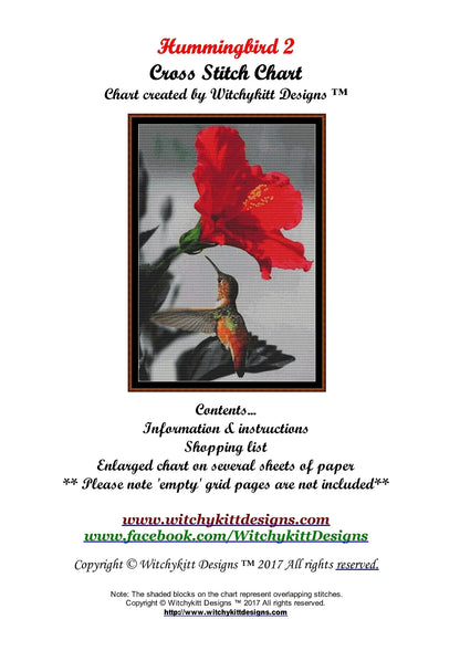 Hummingbird 2  