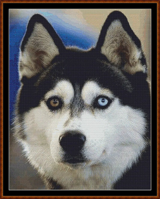 Husky  