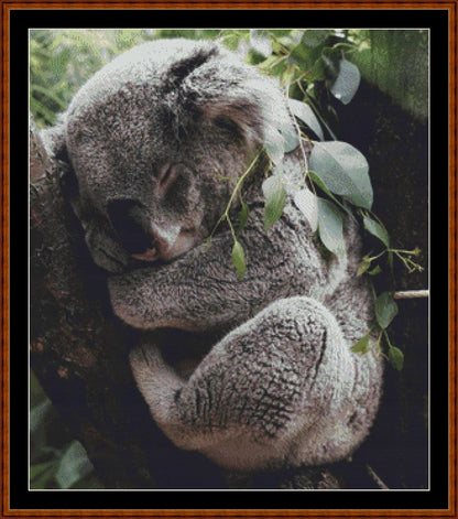 Sleepy Koala patterns created from a photo by StockSnap under CC0 license