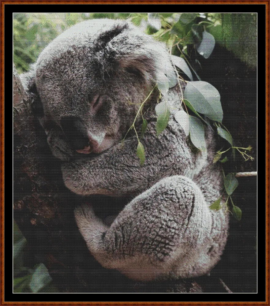 Sleepy Koala patterns created from a photo by StockSnap under CC0 license