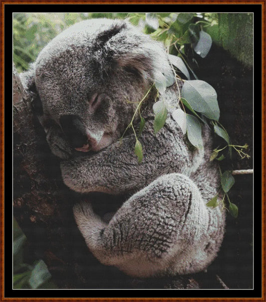 Sleepy Koala patterns created from a photo by StockSnap under CC0 license