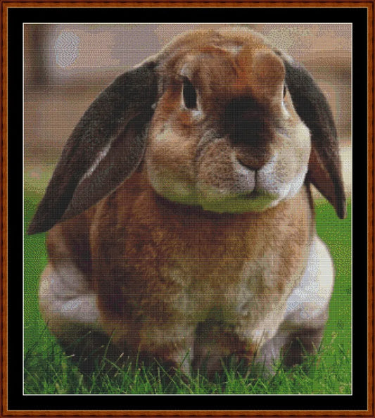 Runny Babbit (SMALL)  