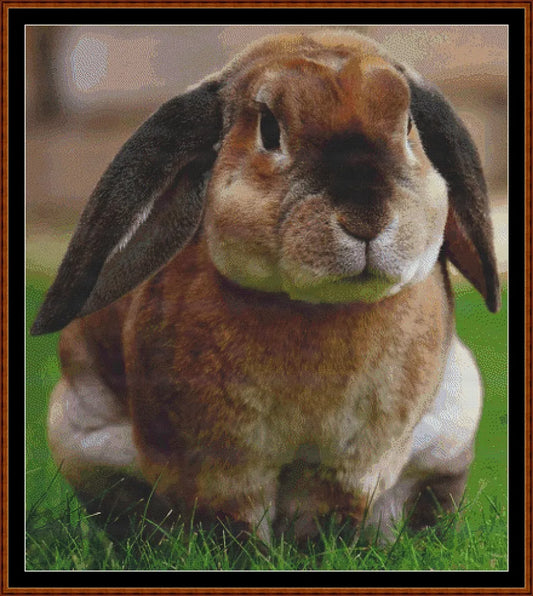 Runny Babbit  