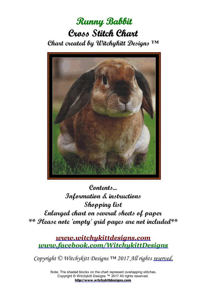 Runny Babbit  