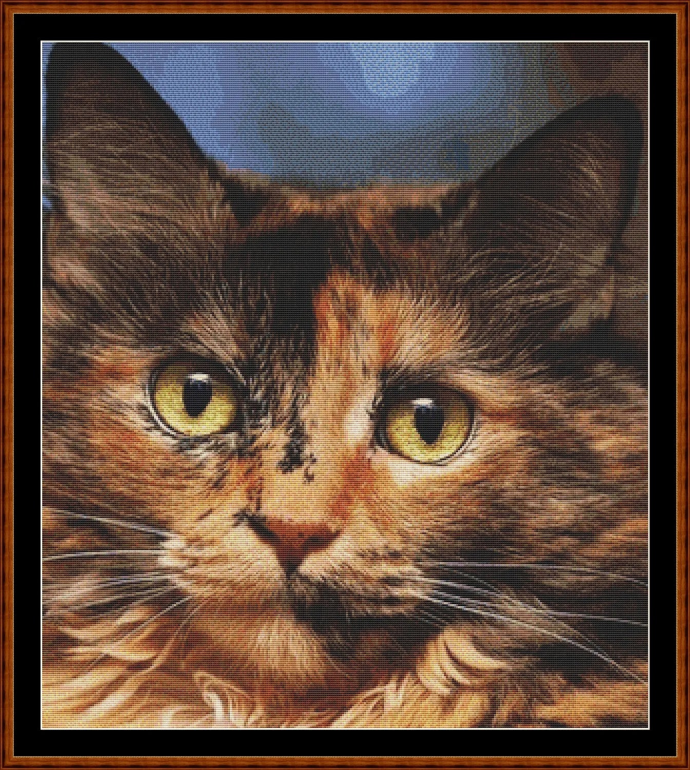 Tortoiseshell  