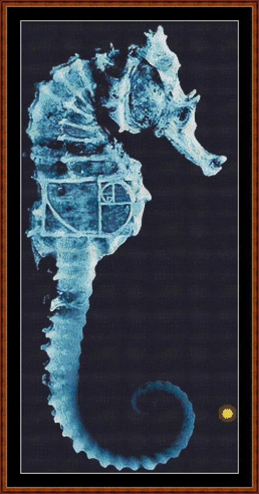 Fringe 1 - Seahorse  