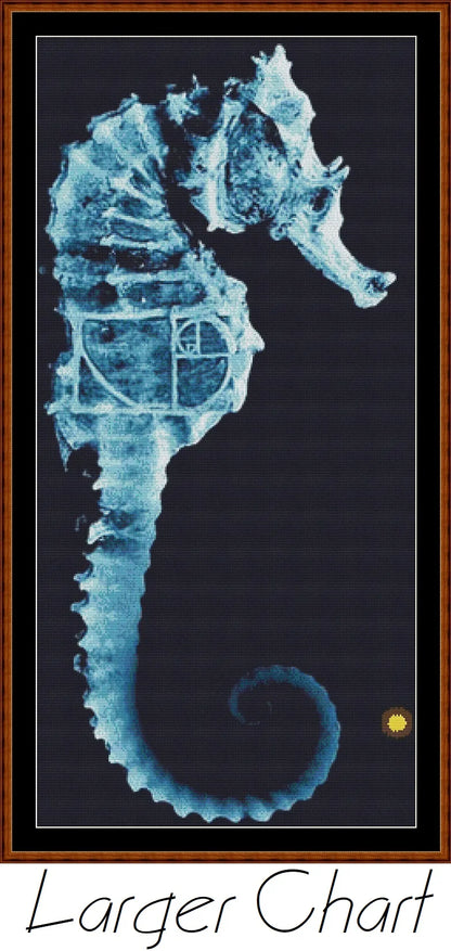 Fringe 1 - Seahorse  