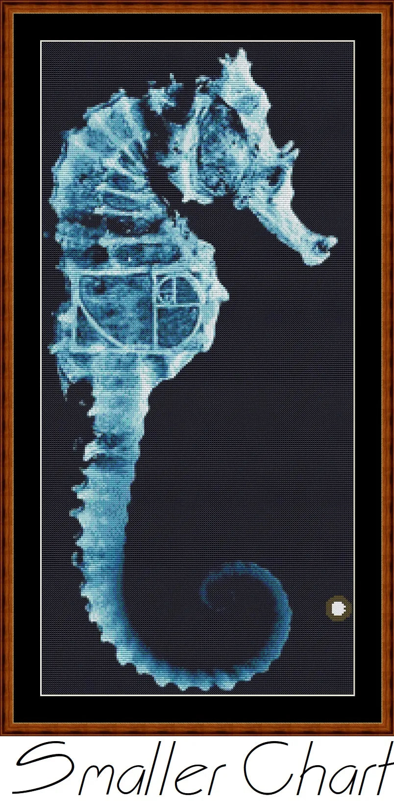 Fringe 1 - Seahorse  