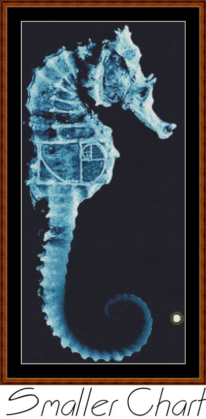 Fringe 1 - Seahorse  