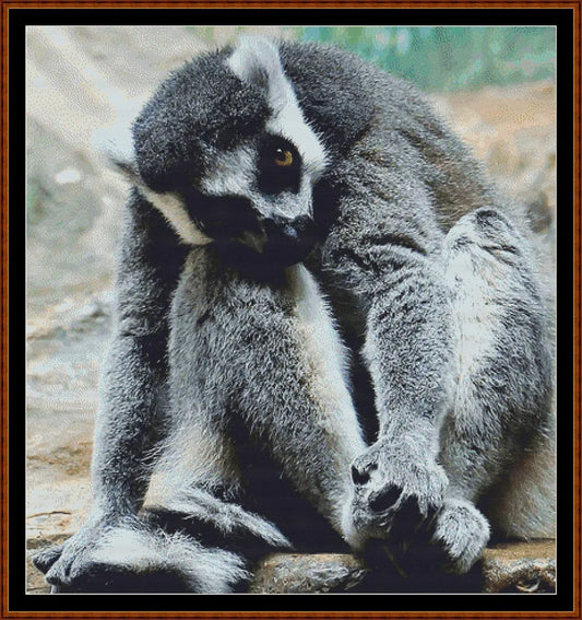 Lemur  