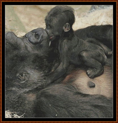 Baby's Kiss