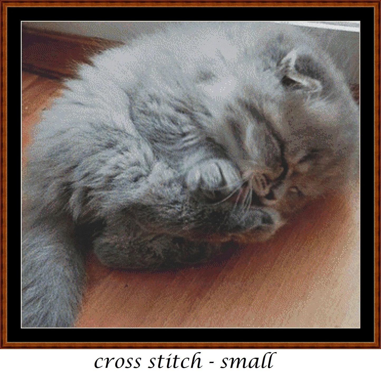 Tired Kitty