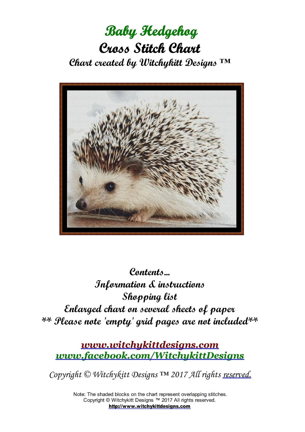 Baby Hedgehog  