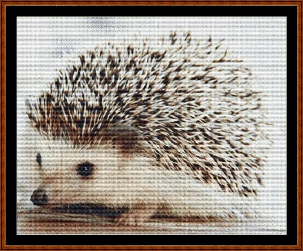 Baby Hedgehog (SMALL)  
