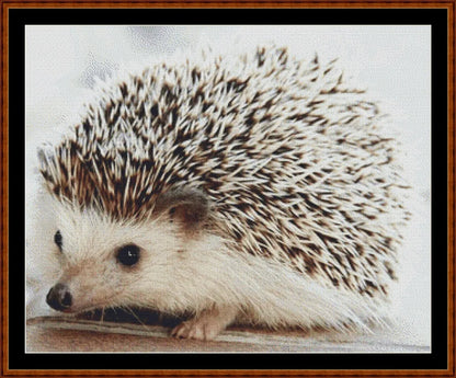Baby Hedgehog (SMALL)  