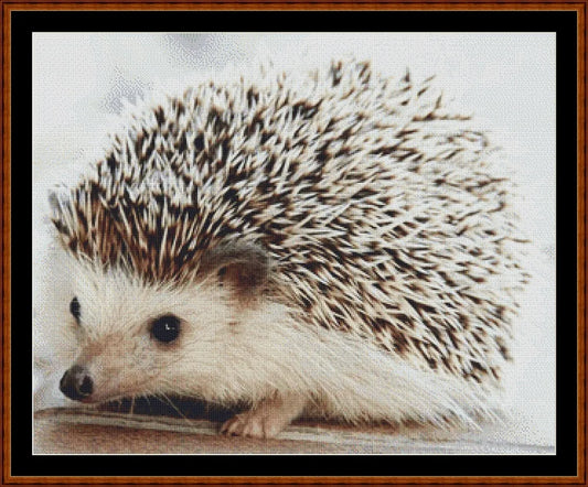 Baby Hedgehog (SMALL)  
