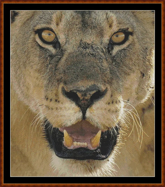 Lion ! (SMALL)
