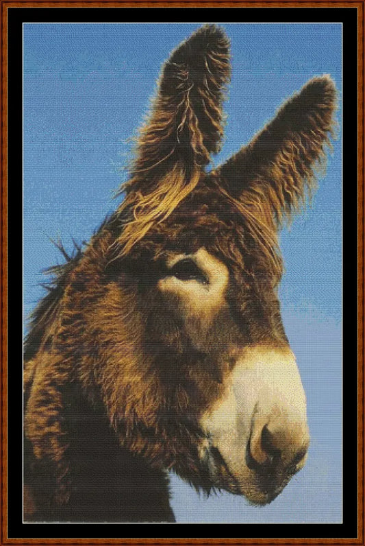 Donkey  