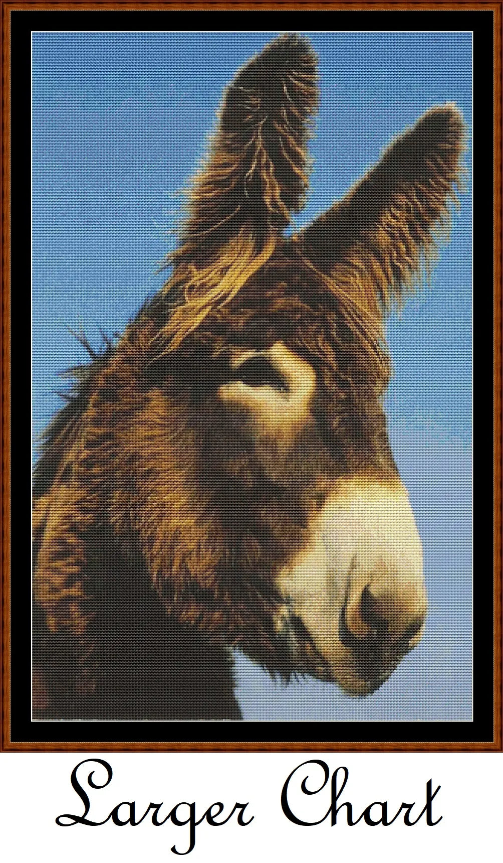 Donkey  