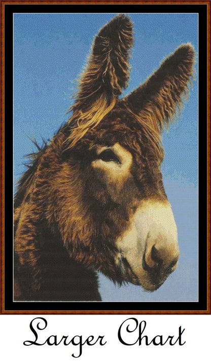 Donkey  