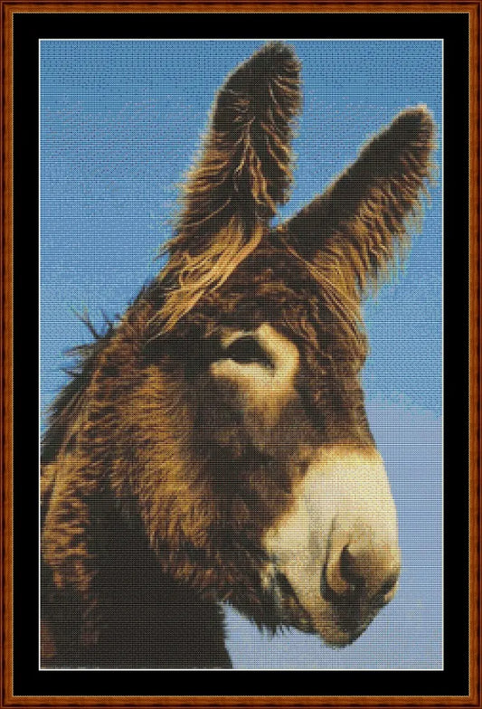 Donkey (SMALL)  