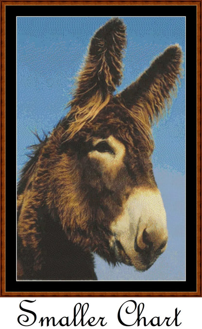 Donkey (SMALL)  