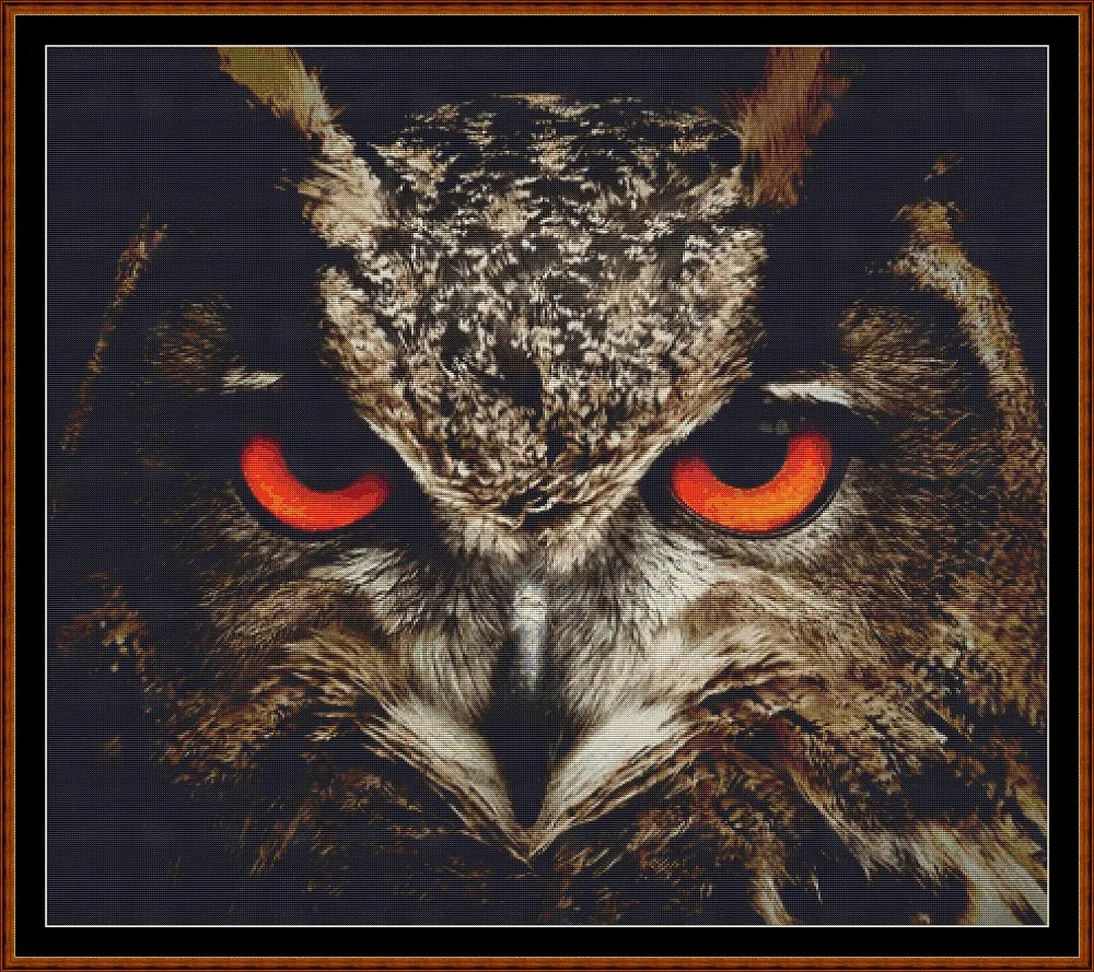 The Owl Stare  
