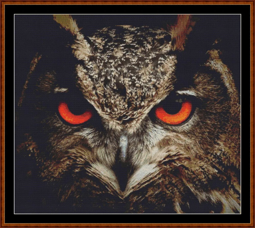 The Owl Stare (SMALL)  